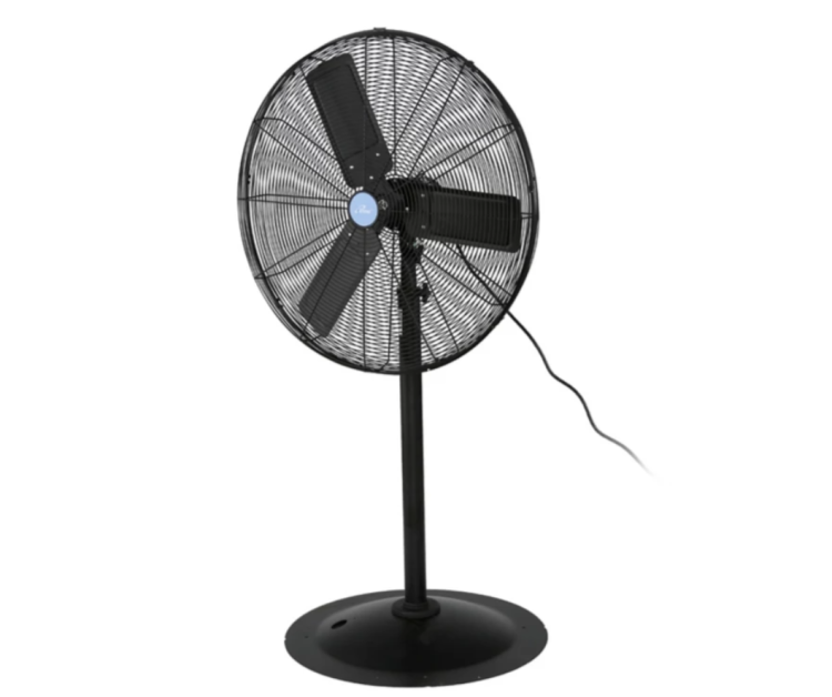 Fan Rentals Fan Rentals