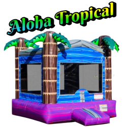 Corpus20Christi20Bounce20House20Rentals 1770312593 Aloha Party Bundle 2-Tables/12 Chairs